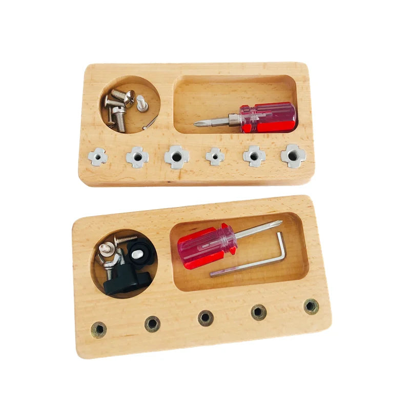 Montessori Screw Driver Board Game Hand-Eye Coordination Fine Motor Skill Exercise Activities Basic Skill Learning Toys Girl Boy