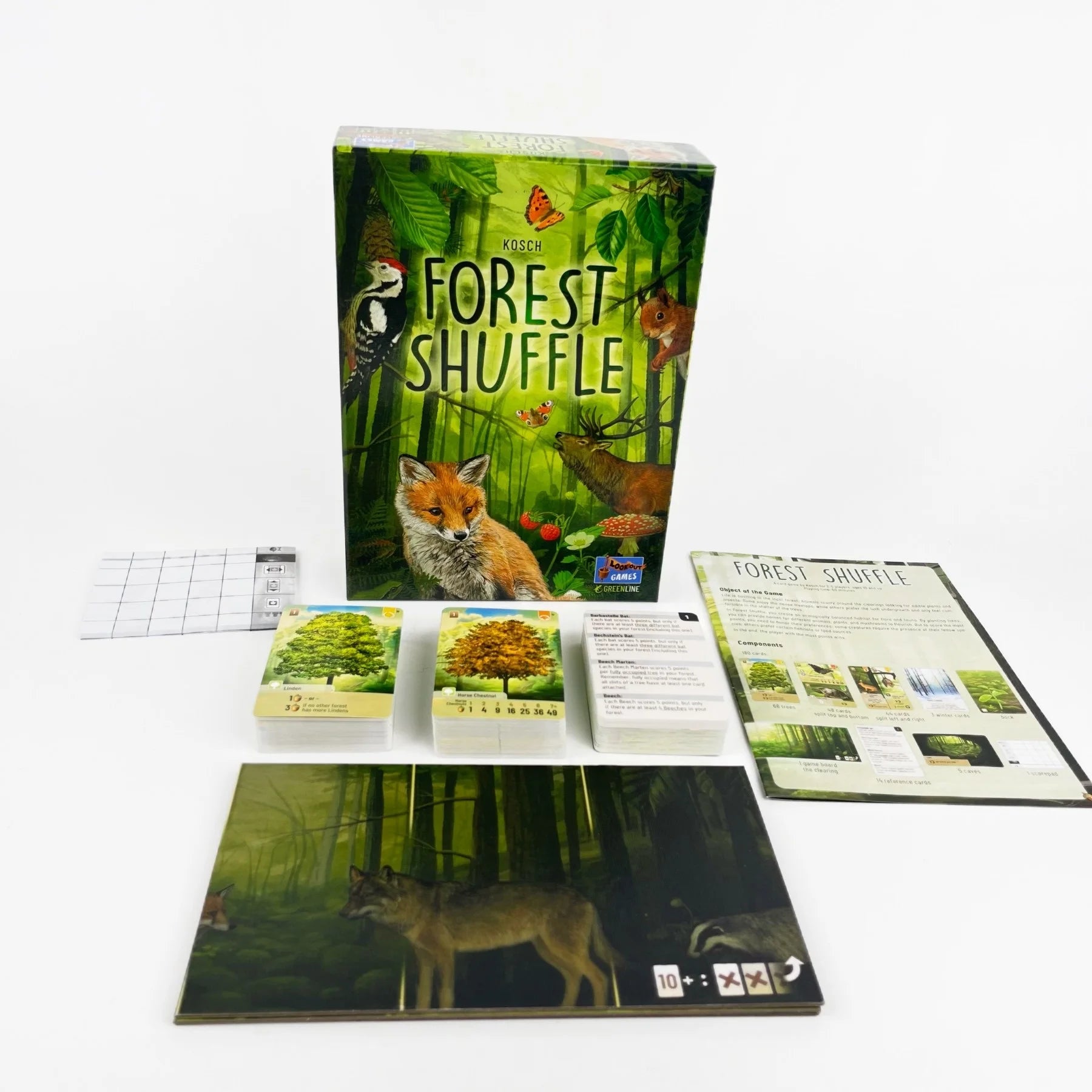 Forest Shuffle Strategy Card Game - Nature-Themed Family Board Game for 4-8 Players, English Edition Multiplayer Party Fun