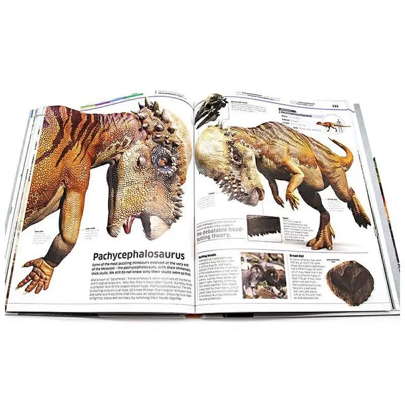English DK Encyclopedia of Dinosaur Knowledge Contrastive Graphical Dictionary Book
